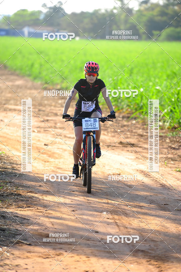 Buy your photos of the eventWolf Series - Botucatu on Fotop