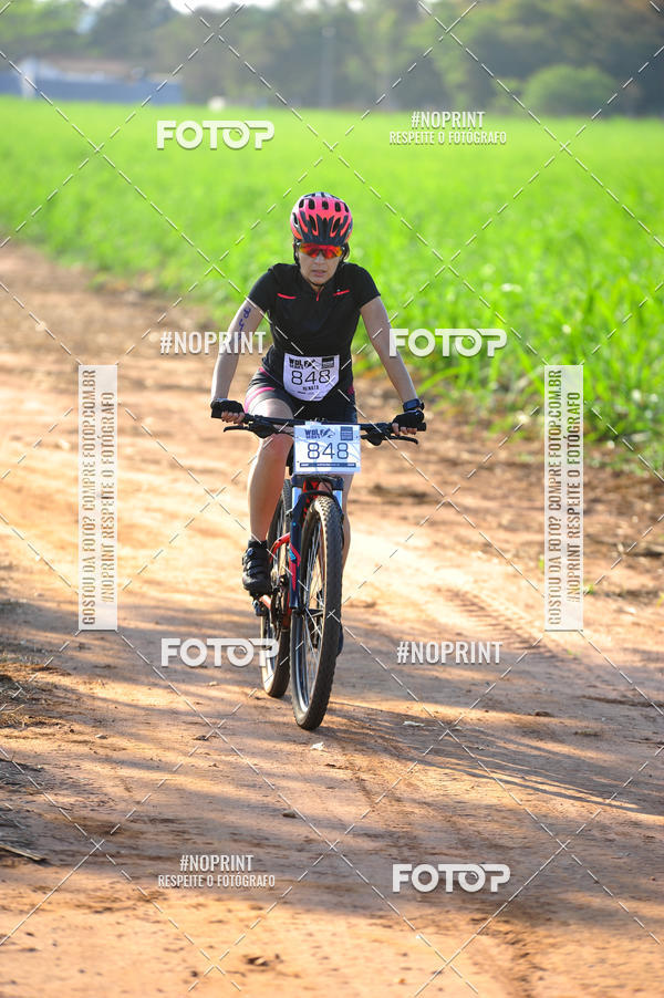 Buy your photos of the eventWolf Series - Botucatu on Fotop
