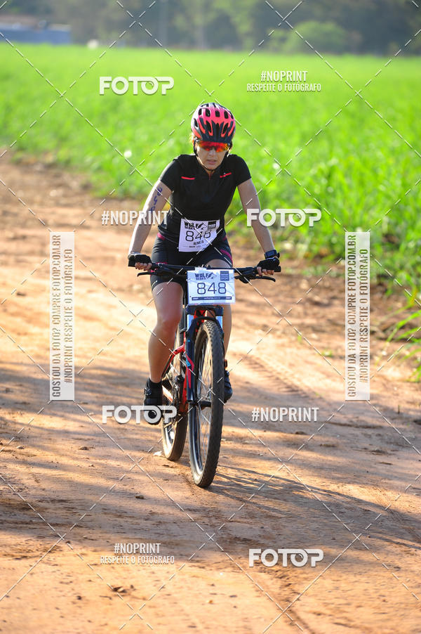 Buy your photos of the eventWolf Series - Botucatu on Fotop