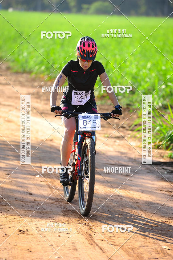 Buy your photos of the eventWolf Series - Botucatu on Fotop
