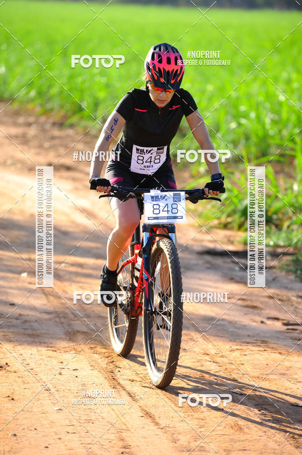 Buy your photos of the eventWolf Series - Botucatu on Fotop