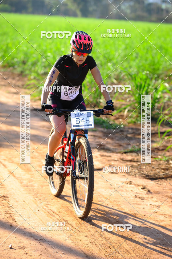 Buy your photos of the eventWolf Series - Botucatu on Fotop