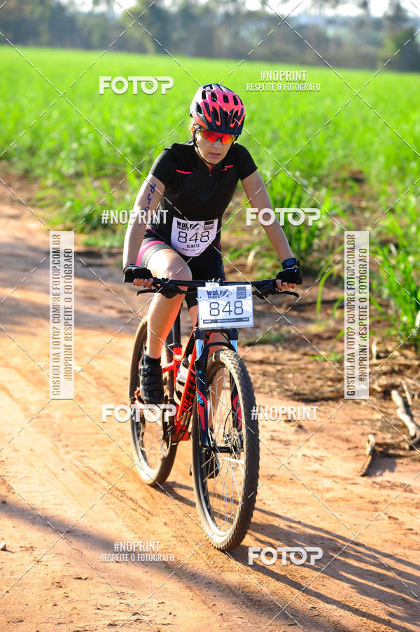Buy your photos of the eventWolf Series - Botucatu on Fotop