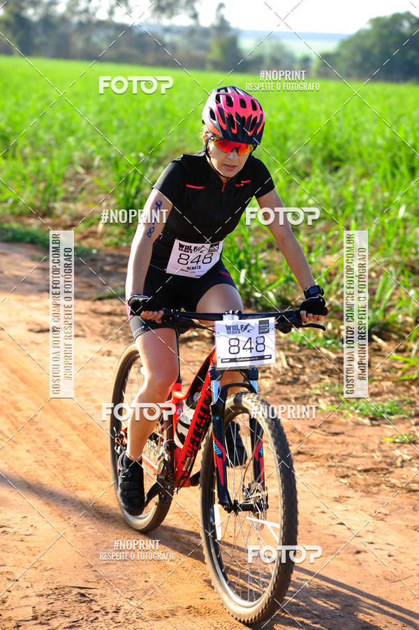 Buy your photos of the eventWolf Series - Botucatu on Fotop