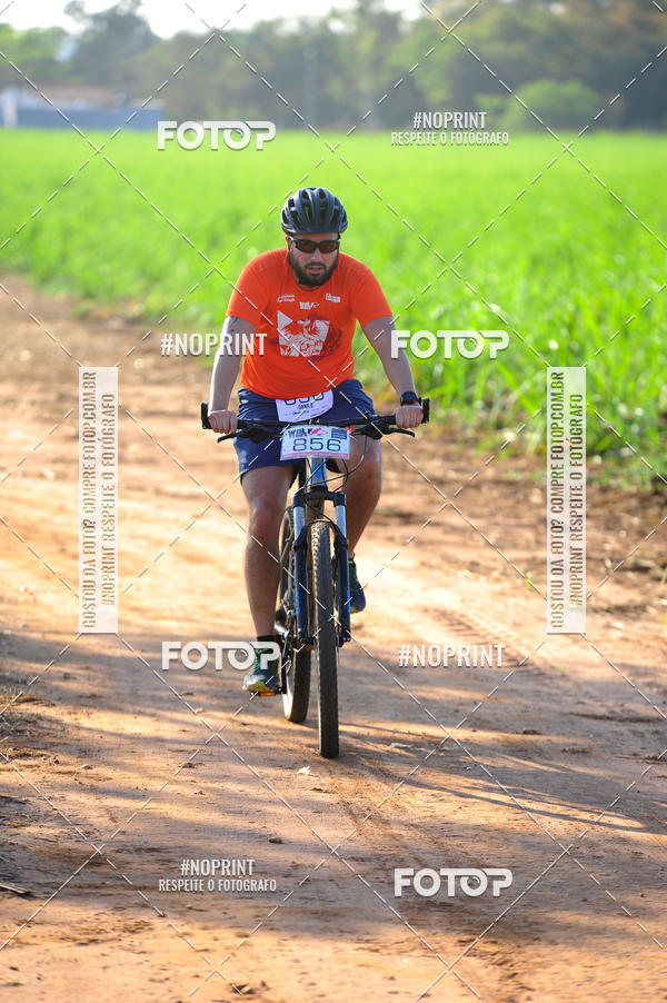 Buy your photos of the eventWolf Series - Botucatu on Fotop