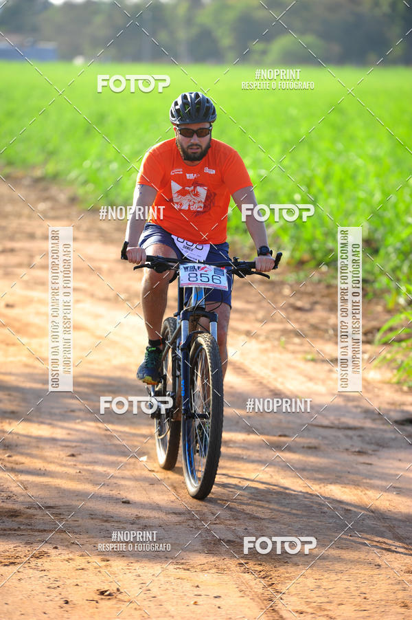Buy your photos of the eventWolf Series - Botucatu on Fotop