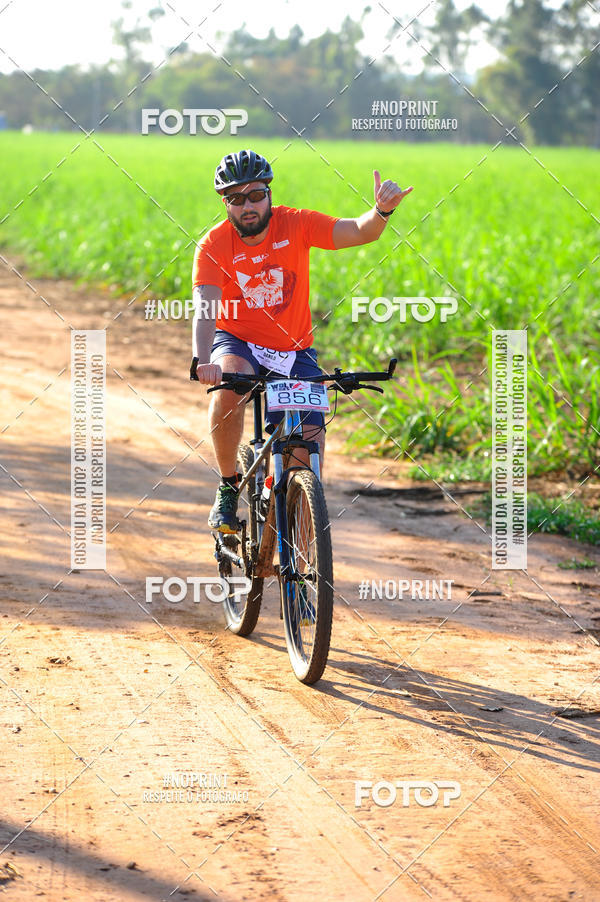 Buy your photos of the eventWolf Series - Botucatu on Fotop