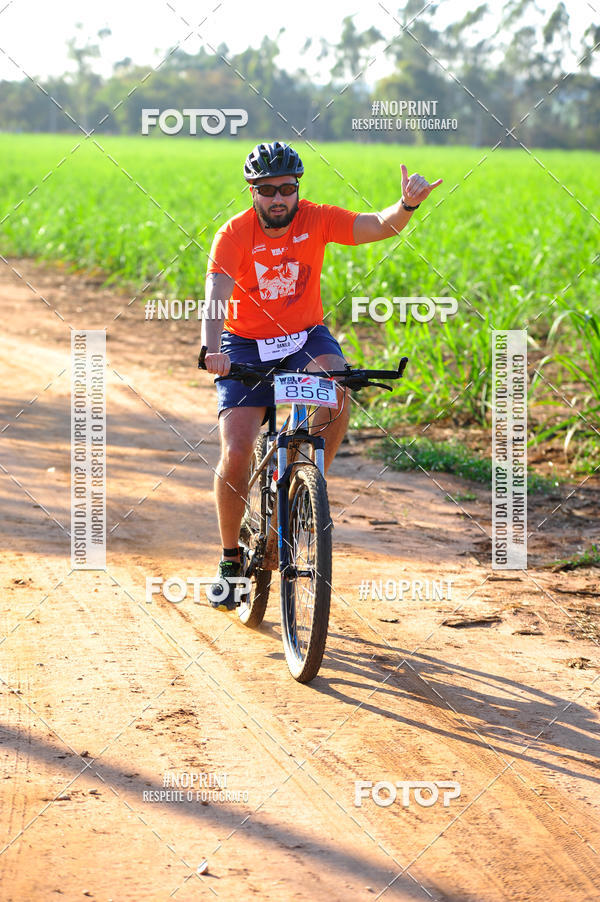 Buy your photos of the eventWolf Series - Botucatu on Fotop