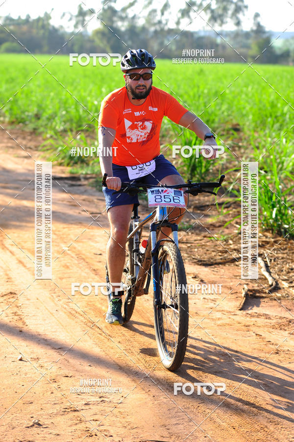 Buy your photos of the eventWolf Series - Botucatu on Fotop