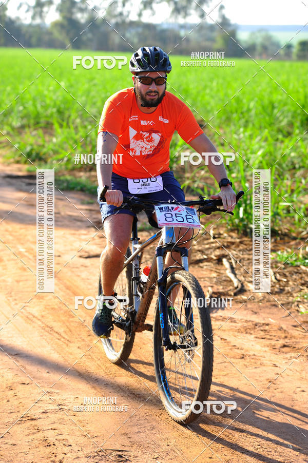 Buy your photos of the eventWolf Series - Botucatu on Fotop