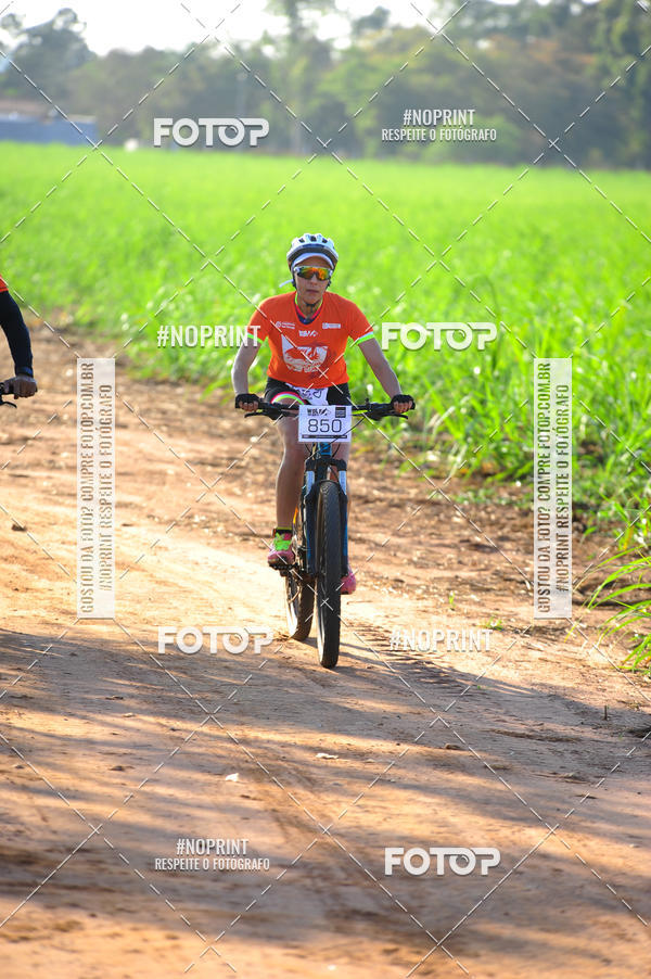 Buy your photos of the eventWolf Series - Botucatu on Fotop