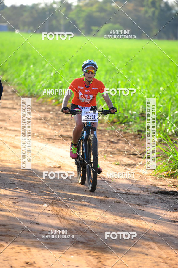 Buy your photos of the eventWolf Series - Botucatu on Fotop