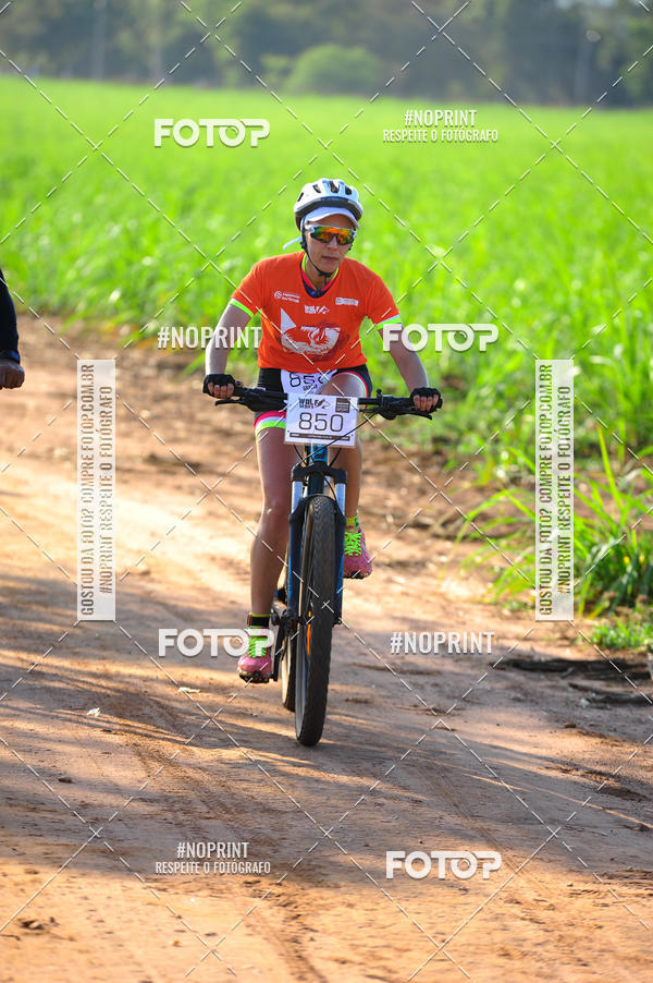 Buy your photos of the eventWolf Series - Botucatu on Fotop