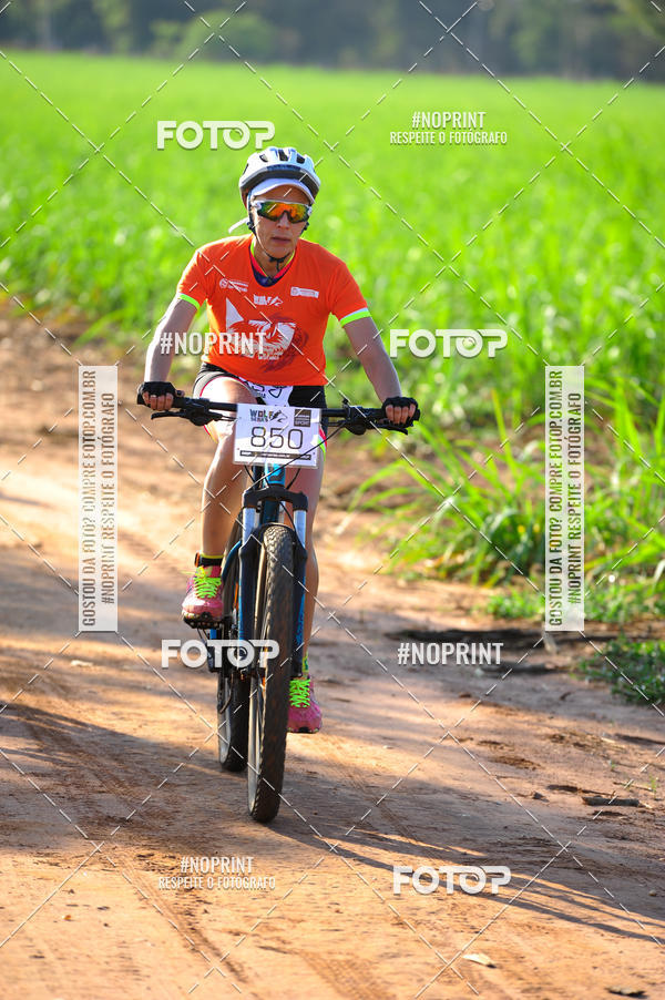 Buy your photos of the eventWolf Series - Botucatu on Fotop
