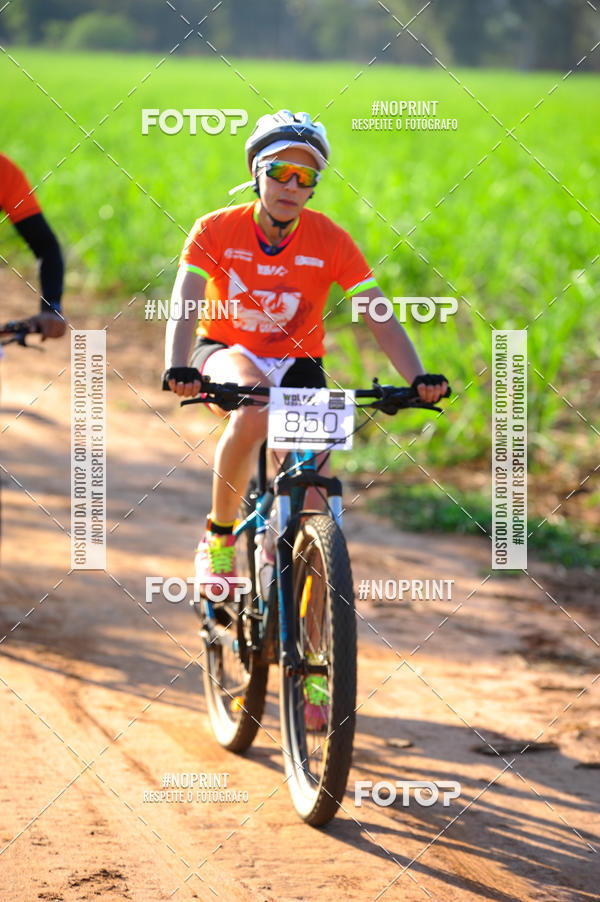 Buy your photos of the eventWolf Series - Botucatu on Fotop