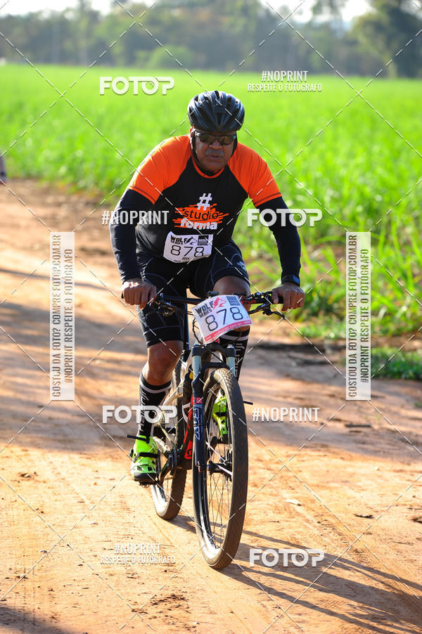 Buy your photos of the eventWolf Series - Botucatu on Fotop