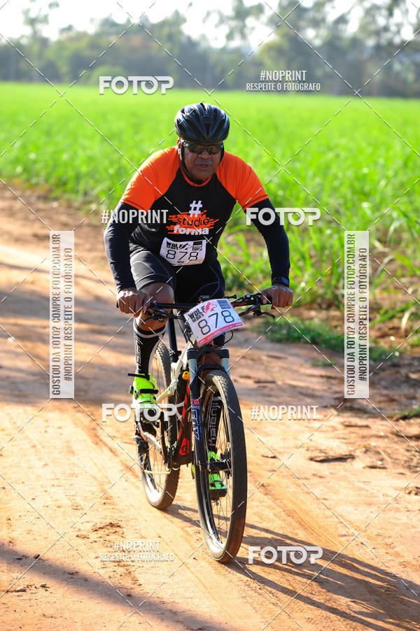 Buy your photos of the eventWolf Series - Botucatu on Fotop