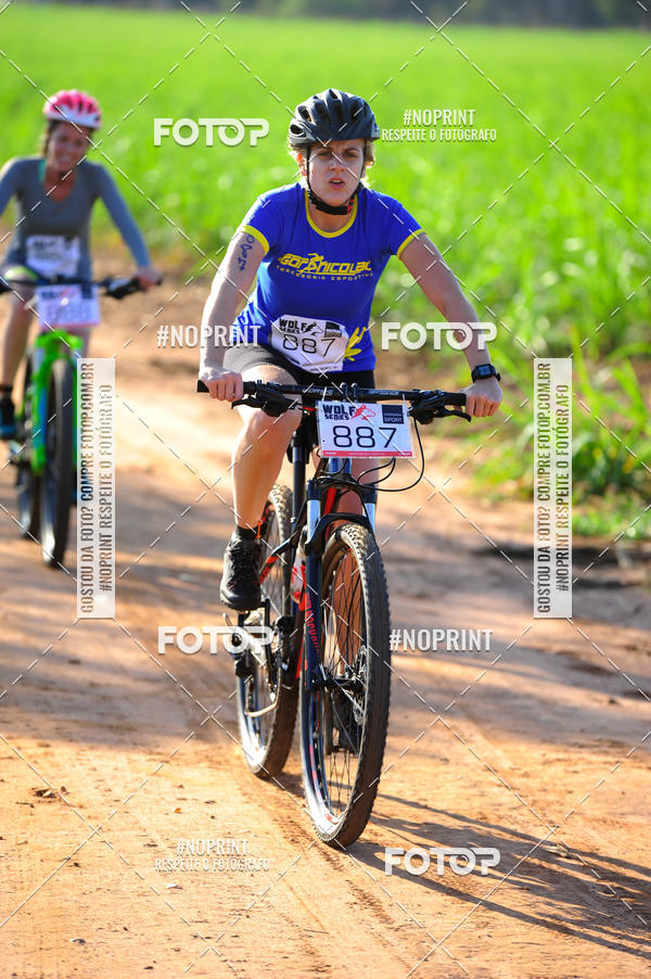 Buy your photos of the eventWolf Series - Botucatu on Fotop