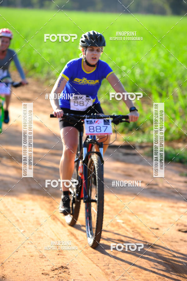 Buy your photos of the eventWolf Series - Botucatu on Fotop