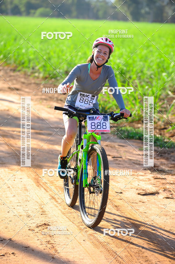 Buy your photos of the eventWolf Series - Botucatu on Fotop