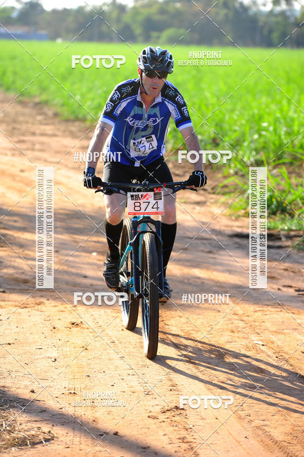 Buy your photos of the eventWolf Series - Botucatu on Fotop