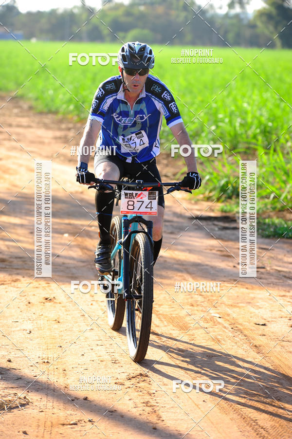 Buy your photos of the eventWolf Series - Botucatu on Fotop