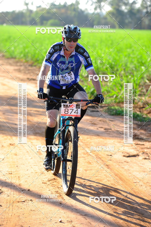 Buy your photos of the eventWolf Series - Botucatu on Fotop