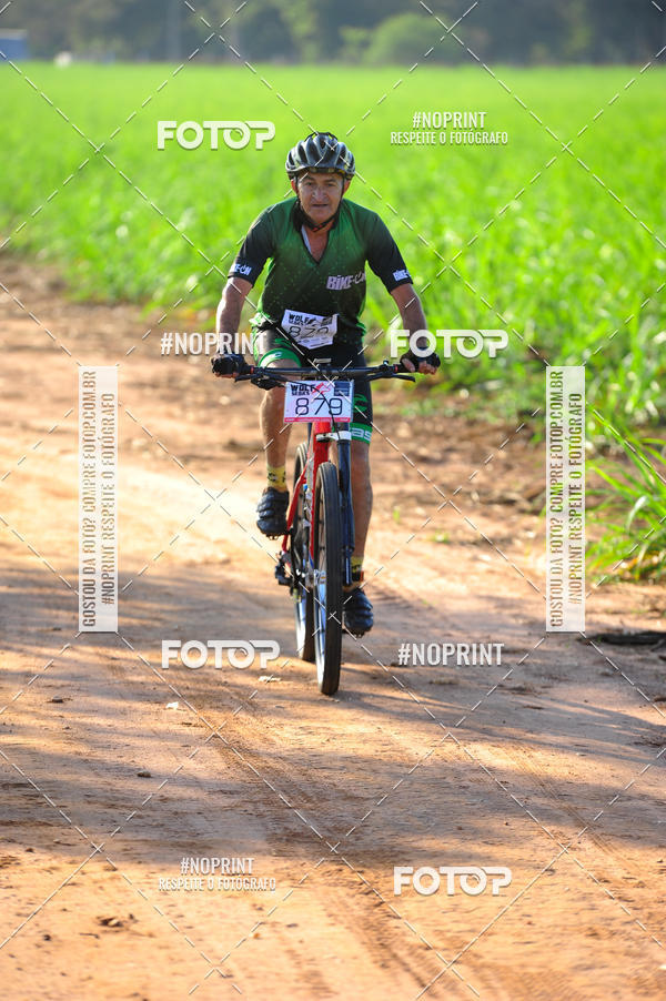Buy your photos of the eventWolf Series - Botucatu on Fotop