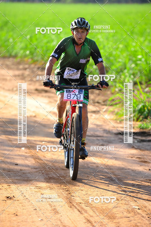 Buy your photos of the eventWolf Series - Botucatu on Fotop