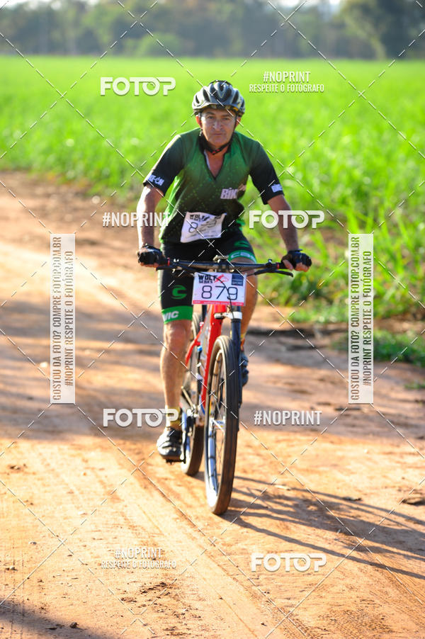 Buy your photos of the eventWolf Series - Botucatu on Fotop