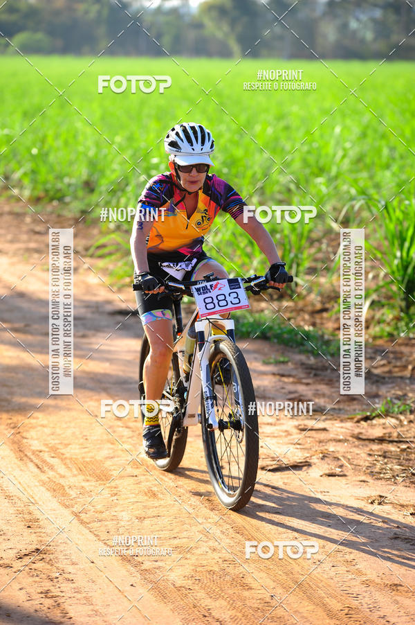 Buy your photos of the eventWolf Series - Botucatu on Fotop