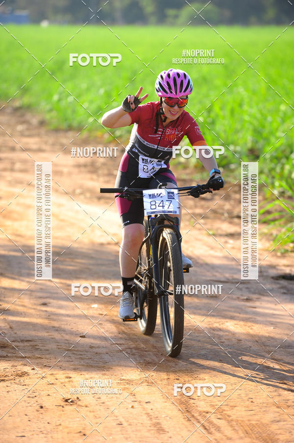 Buy your photos of the eventWolf Series - Botucatu on Fotop