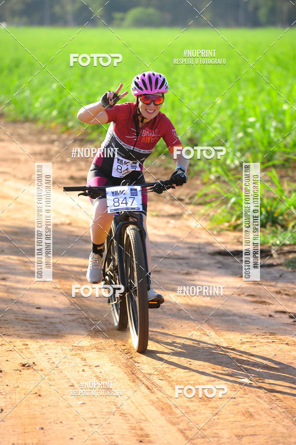 Buy your photos of the eventWolf Series - Botucatu on Fotop