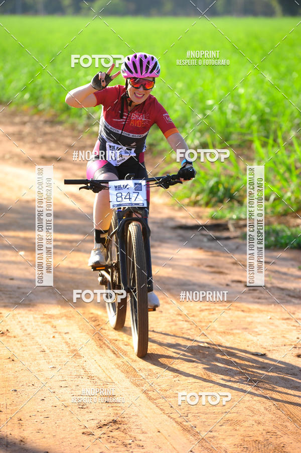 Buy your photos of the eventWolf Series - Botucatu on Fotop