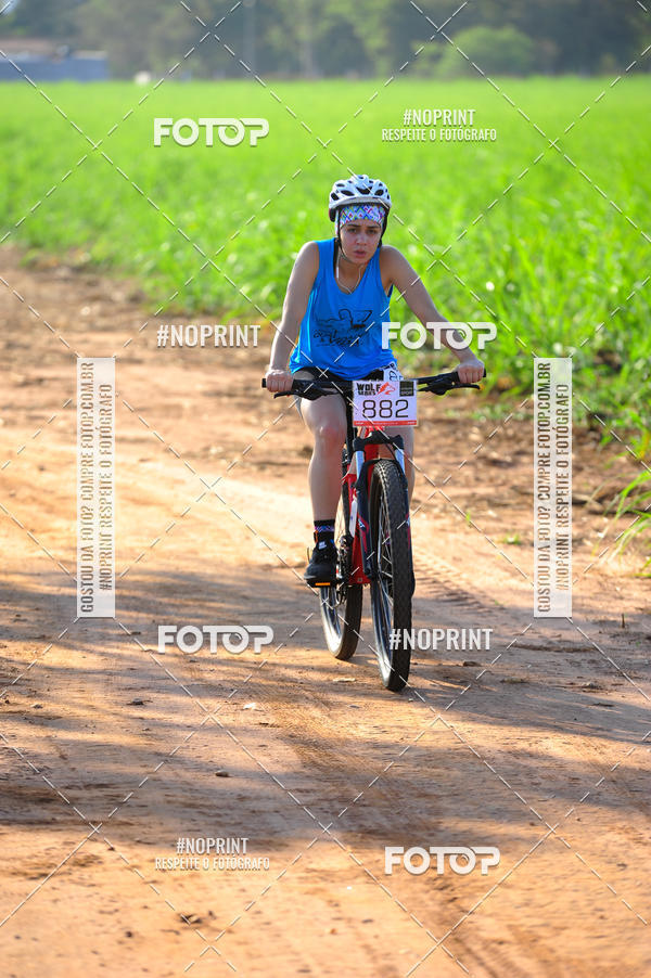 Buy your photos of the eventWolf Series - Botucatu on Fotop
