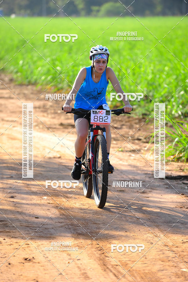Buy your photos of the eventWolf Series - Botucatu on Fotop