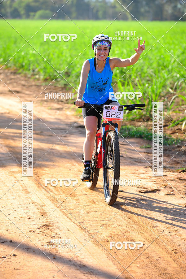 Buy your photos of the eventWolf Series - Botucatu on Fotop