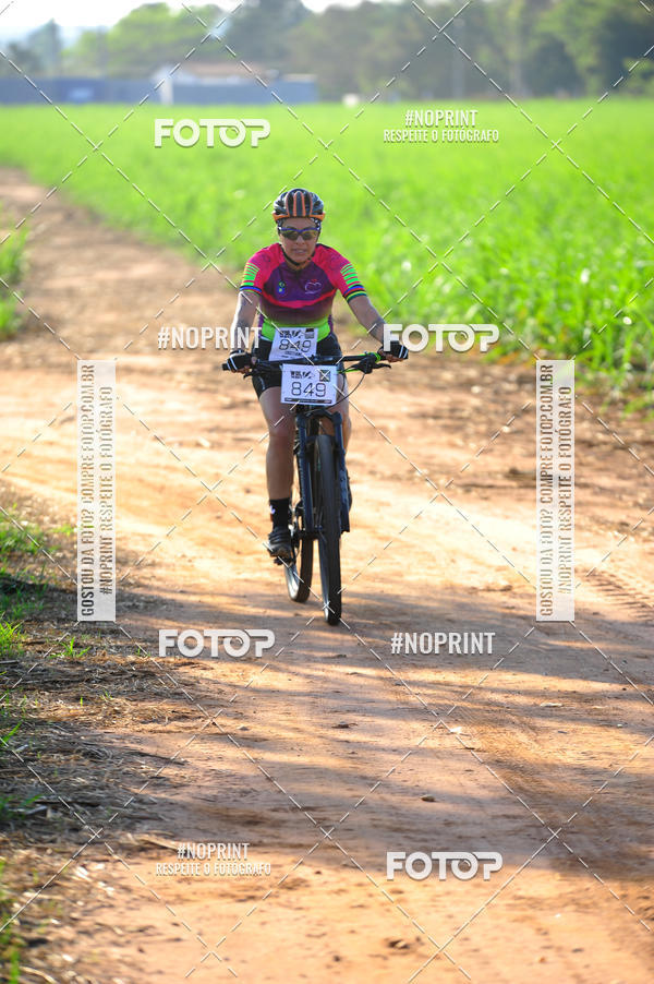 Buy your photos of the eventWolf Series - Botucatu on Fotop