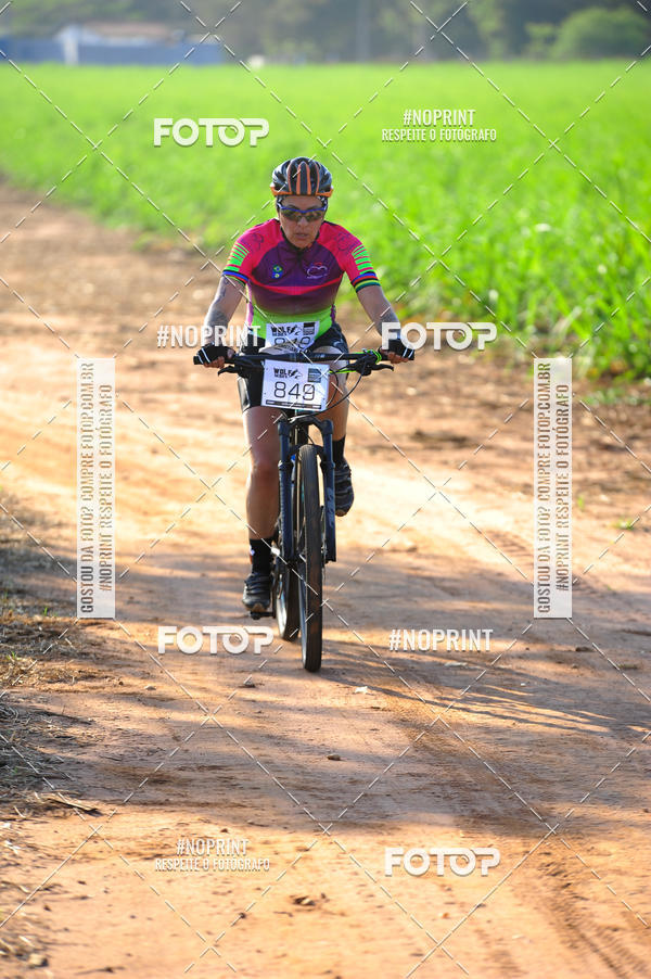 Buy your photos of the eventWolf Series - Botucatu on Fotop