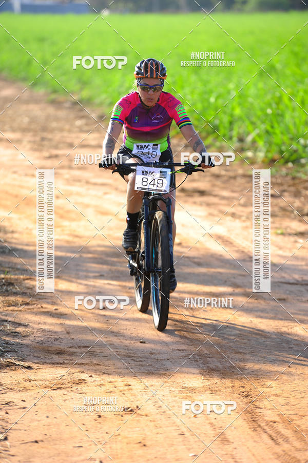 Buy your photos of the eventWolf Series - Botucatu on Fotop