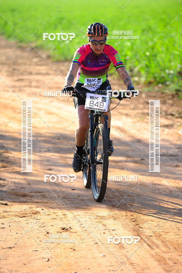 Buy your photos of the eventWolf Series - Botucatu on Fotop