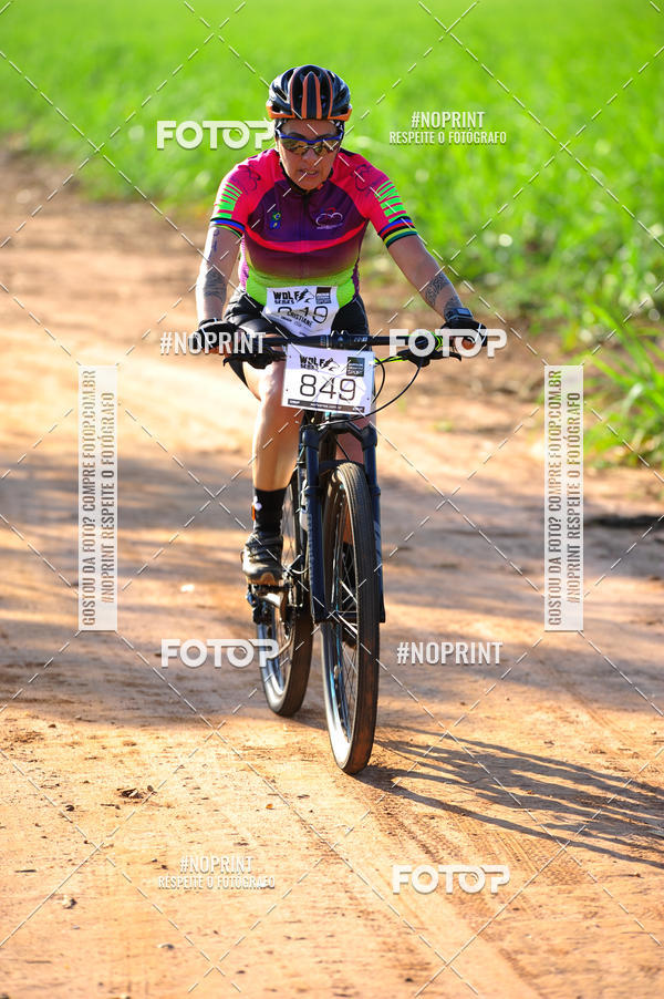 Buy your photos of the eventWolf Series - Botucatu on Fotop