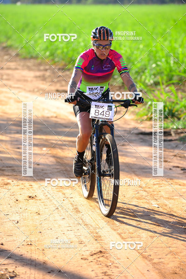 Buy your photos of the eventWolf Series - Botucatu on Fotop