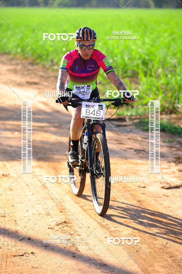 Buy your photos of the eventWolf Series - Botucatu on Fotop