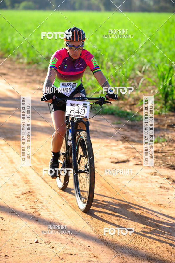 Buy your photos of the eventWolf Series - Botucatu on Fotop