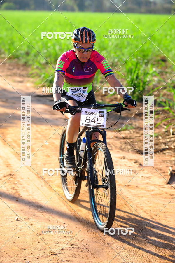 Buy your photos of the eventWolf Series - Botucatu on Fotop