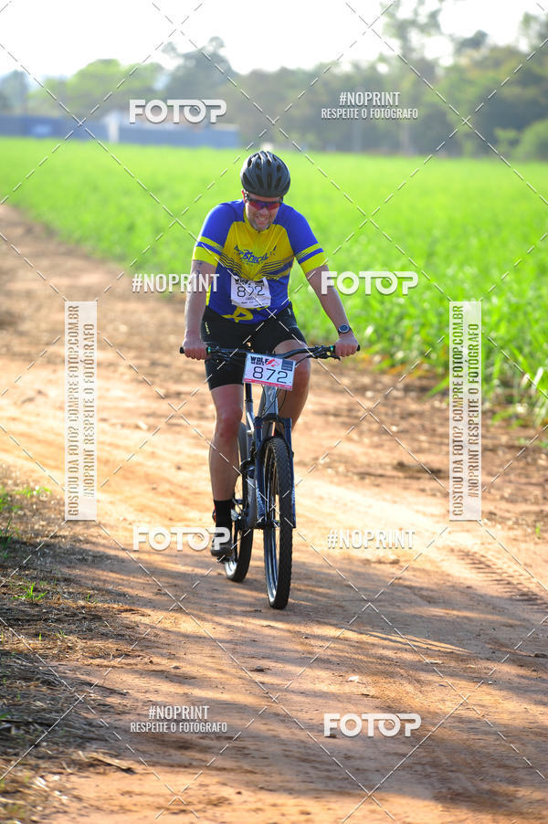 Buy your photos of the eventWolf Series - Botucatu on Fotop