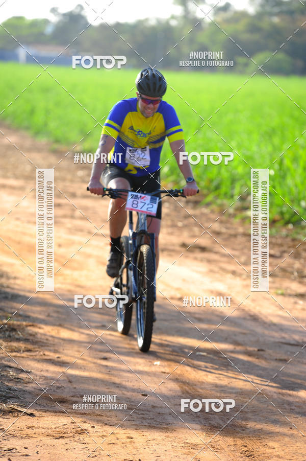 Buy your photos of the eventWolf Series - Botucatu on Fotop