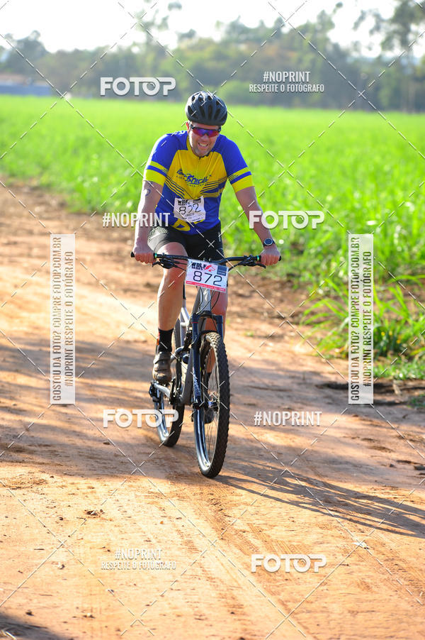 Buy your photos of the eventWolf Series - Botucatu on Fotop