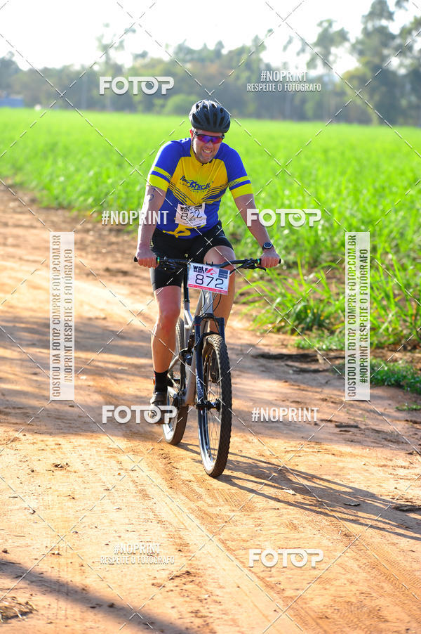 Buy your photos of the eventWolf Series - Botucatu on Fotop